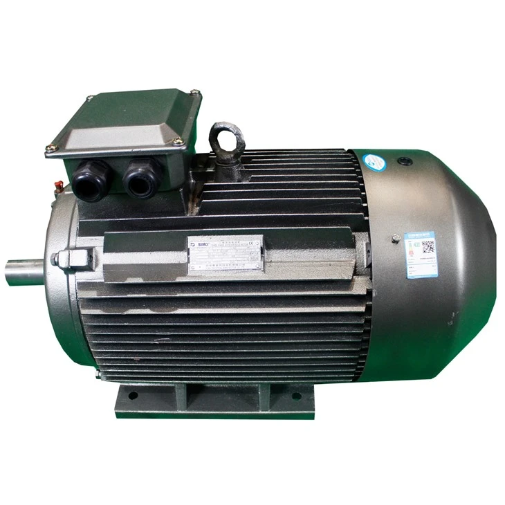 Magnet Synchronous Motor