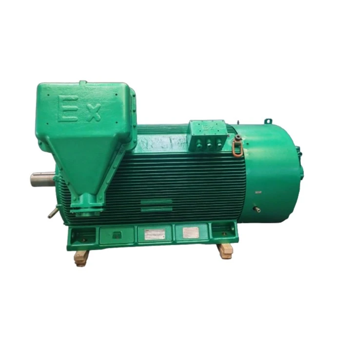YBBP5604-6 HV Explosion-proof VVVF Three-phase Asynchronous Motor 1000kw suppliers