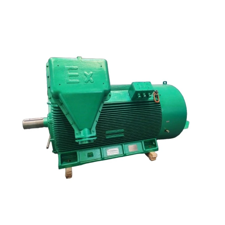 YBBP5604-6 HV Explosion-proof VVVF Three-phase Asynchronous Motor 1000kw factory