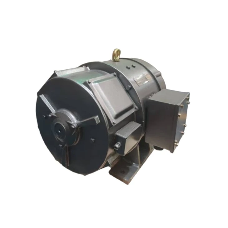 ZDB-61KF1 DC Motor 220v 3000 Rpm 17kW