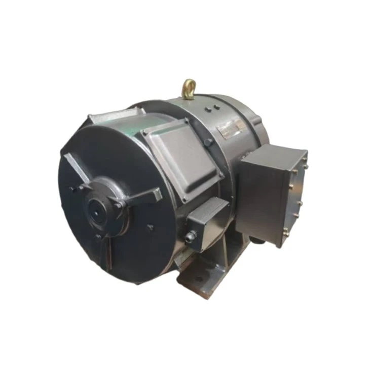 ZDB-61KF1 DC Motor 220v 3000 Rpm 17kW suppliers