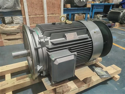 Vertical‑Mounted Motor: Fault Analysis On Abnormal Noise