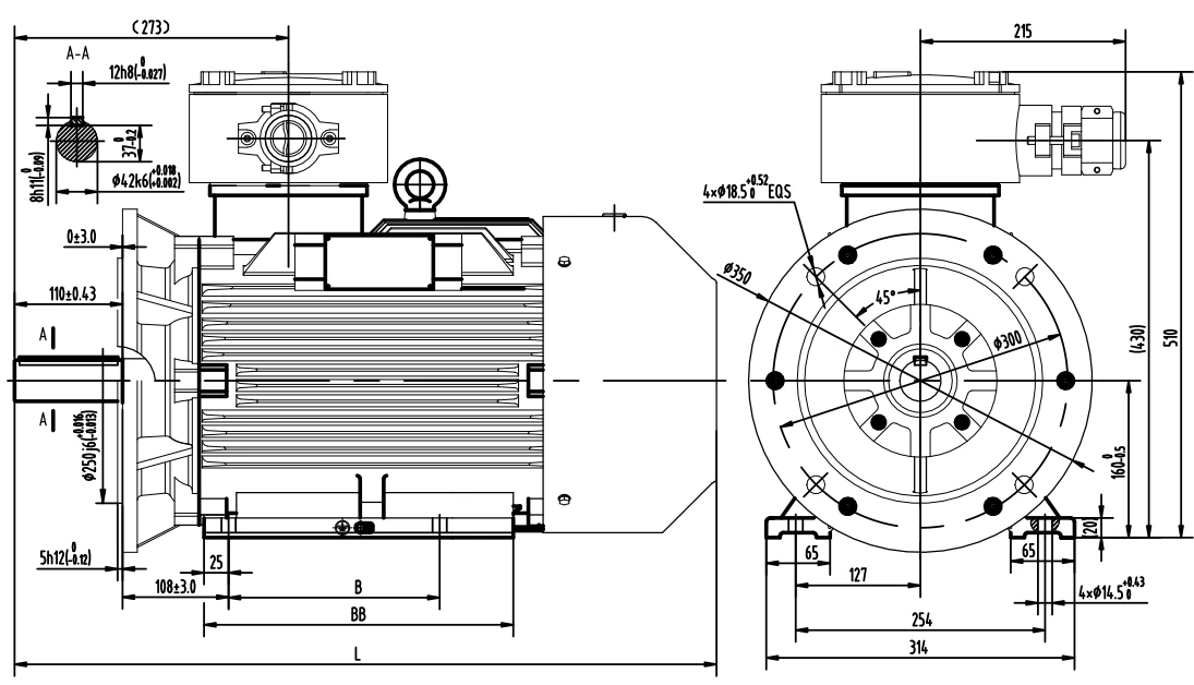 outline dimension of iec explosion proof motors
