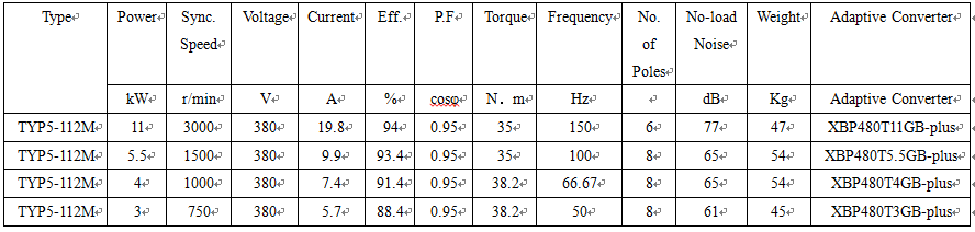 technical data of pm synrm