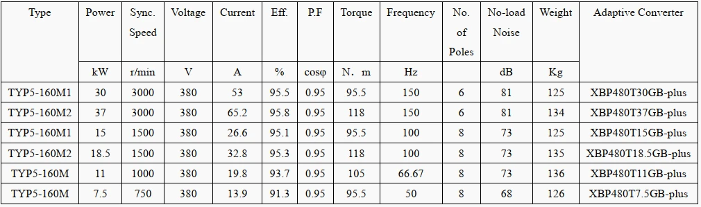 technical data of small permanent magnet motor