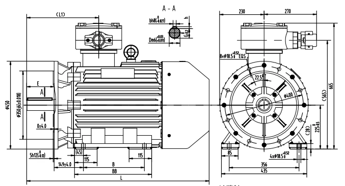 outline dimension of ex rated motor