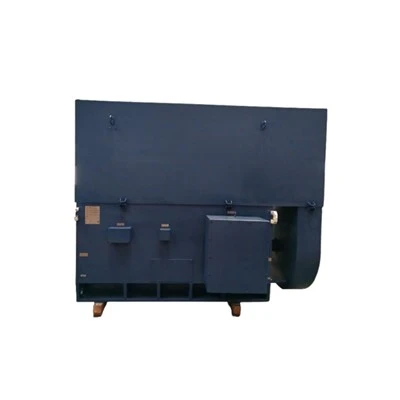 YXVF560-4 VVVF Three-phase Asynchronous 2000 Kw Electric Motor 1500rpm