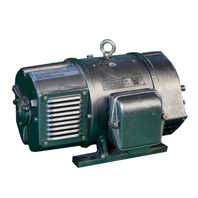 3 Phase DC Induction Motor