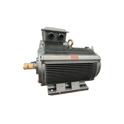 YE3-315L1-10 380 Volt 3 Phase Motor 75kW