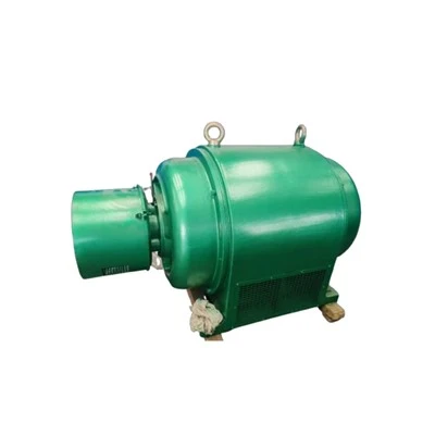 YRQ500L3-8T2 Three-phase Induction 50hz Motor 380KW