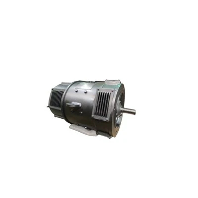 ZDB-52 A 220v DC Shunt Motor IP23 S1