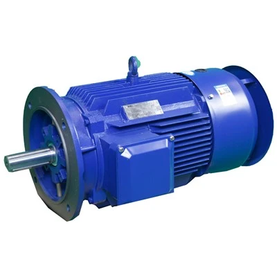 A Three Phase 50 HZ Induction Motor