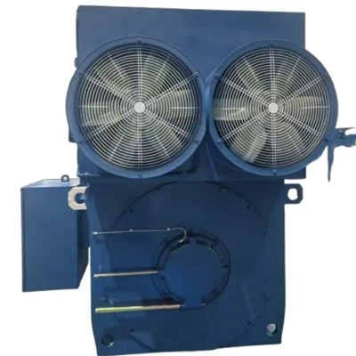 YJTKK560-6 AC Motor High Rpm Three-phase Asynchronous 1800 kW