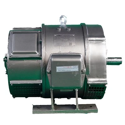 Brush Type Motor