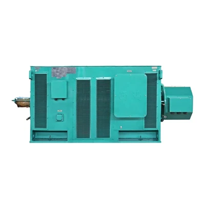355kW HV Brushless AC Induction Motor