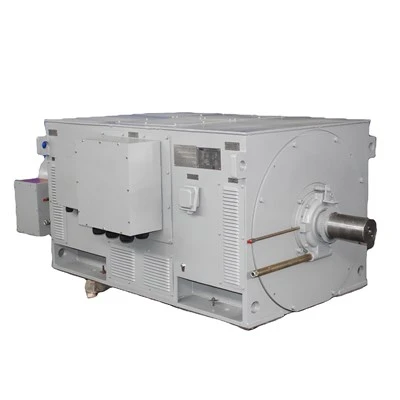 HV AC Brushless Asynchronous Induction Motors