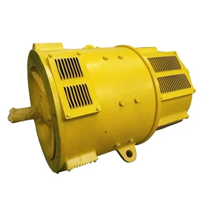 Customized DC Motor
