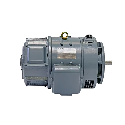 DC 0.8kW 110V Generator Motor
