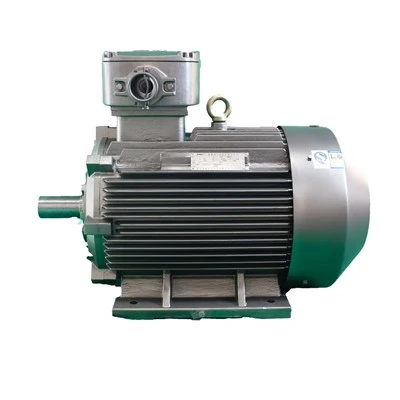 Flameproof Induction Motor