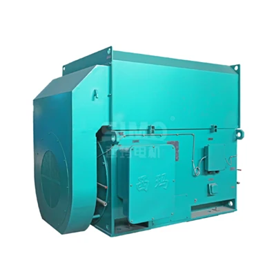 YRKK800-10 3kv Motor