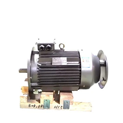 High RPM Induction Motor