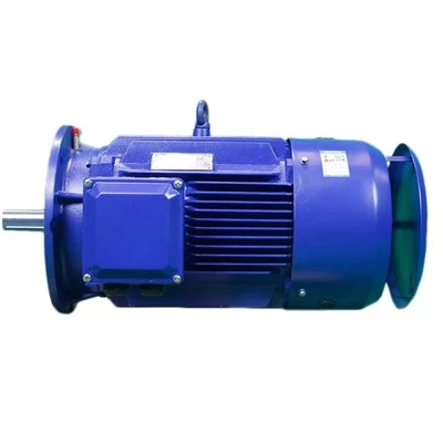 IE3 Class Motor