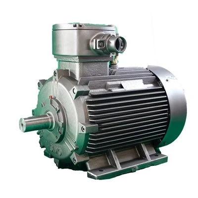 IEC Explosion Proof Standard Exd II BT4Gb