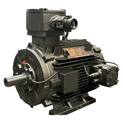 IECEX Explosion Proof