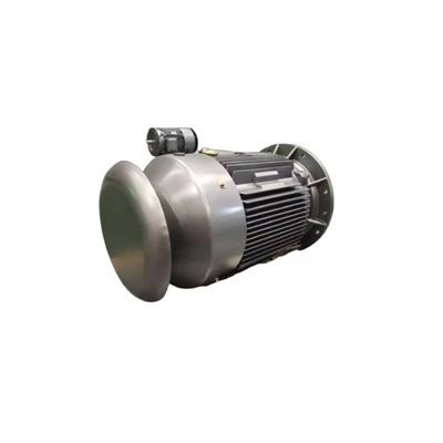 YFB250M-4 Flameproof Three-phase Asynchronous Ip 65 Motor 55kW
