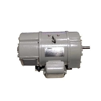 Locomotive Starter Motor
