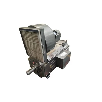Z4-225-31 DC Low Voltage VFD Driven Motor 440 V Separate Exciting