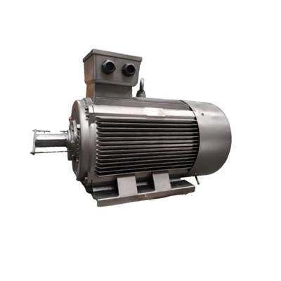 YE3-315L1-4 TH Three-phase Asynchronous Motor 160 Kw 380V 50Hz