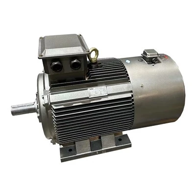 Multi Speed AC Motor