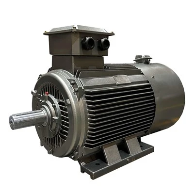 Multi Speed Induction Motor