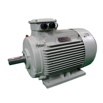 Permanent Magnet Motor Synchronous