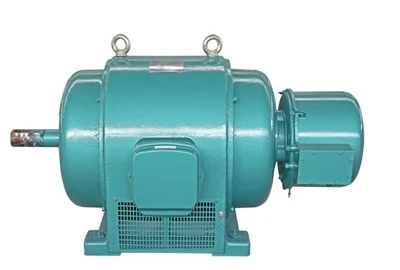 Rotor Of An Induction Motor