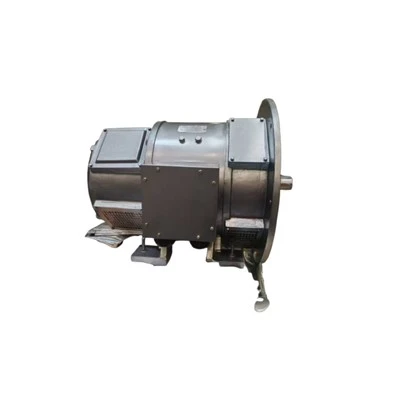 Z2-91 D2/T2 Shunt Type DC Motor 55kW S1