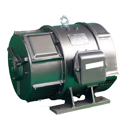 Small 220V Motor
