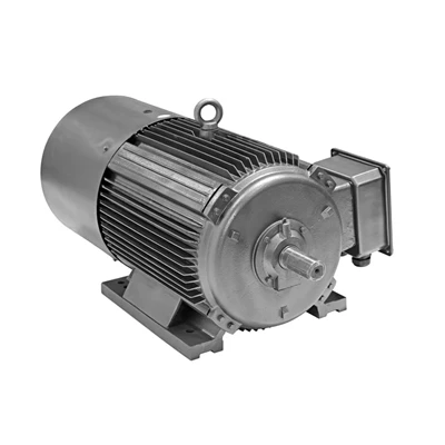 15kW Low Voltage Squirrel Cage Machine