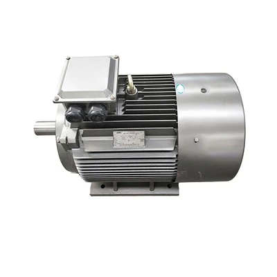 Three Phase Cage Induction Motor