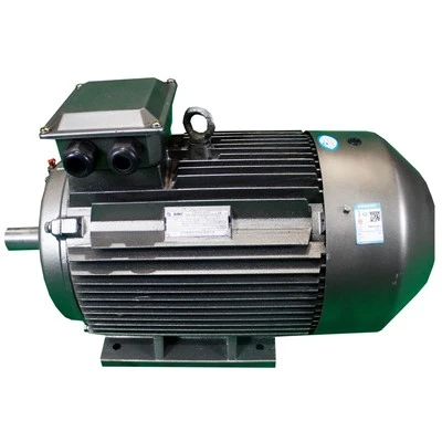 Three Phase Permanent Magnet Synchronous Motor