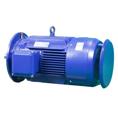 Three Phase Traction Motor