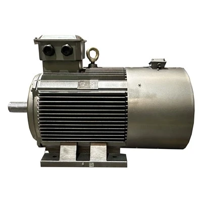 Variable Control Motor