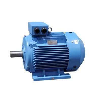 3000 RPM AC Motor