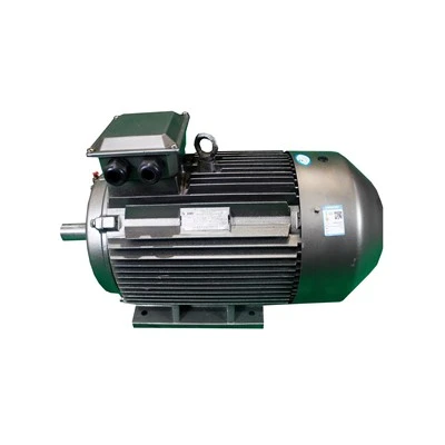 Energy Efficient Equipment Electric Motor