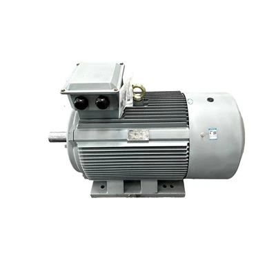 AC 3 Phase Squirrel Cage Induction Motor