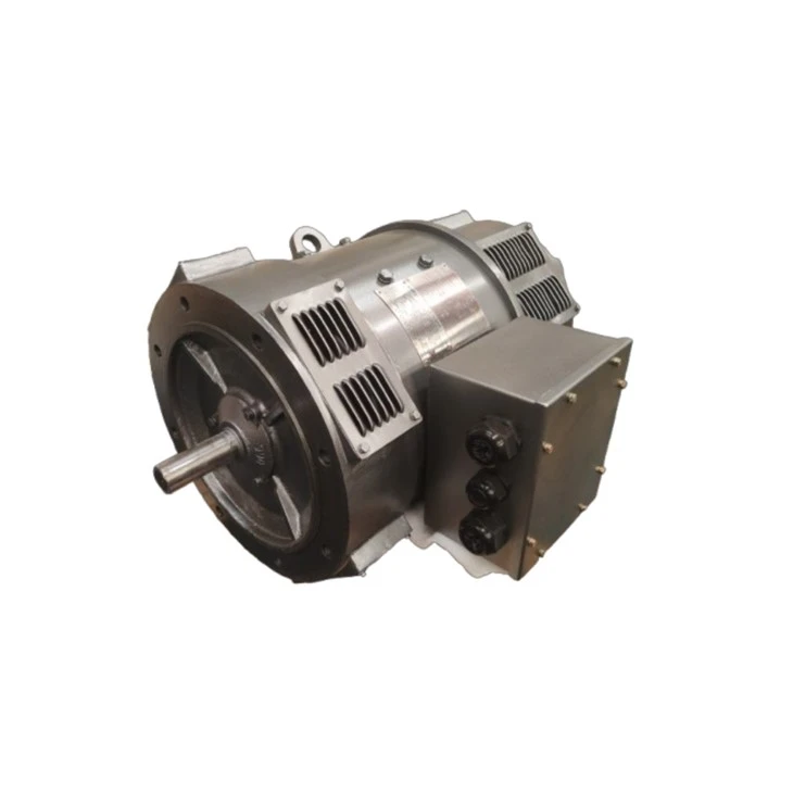 ZDB-72 22kw Vertical DC Motor 220V factory