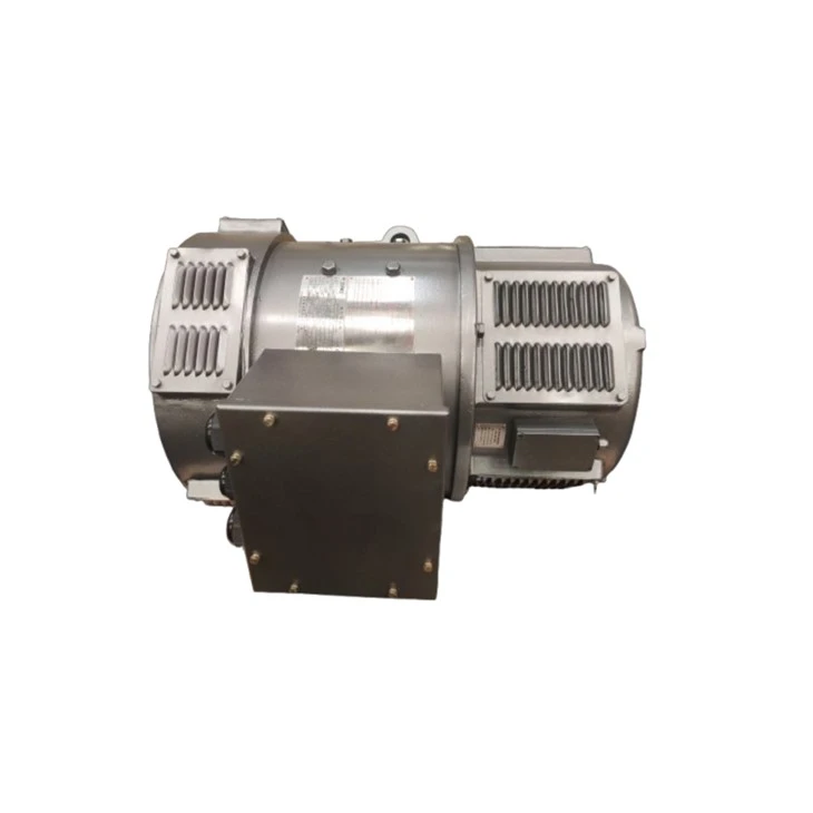 ZDB-72 22kw Vertical DC Motor 220V